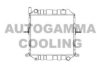 AUTOGAMMA 104211 Radiator, engine cooling